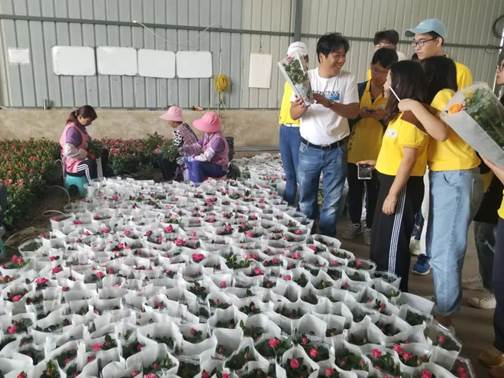 微信图片_20190810215901