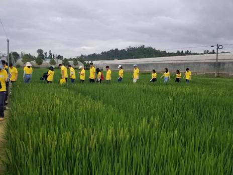 微信图片_20190810215914